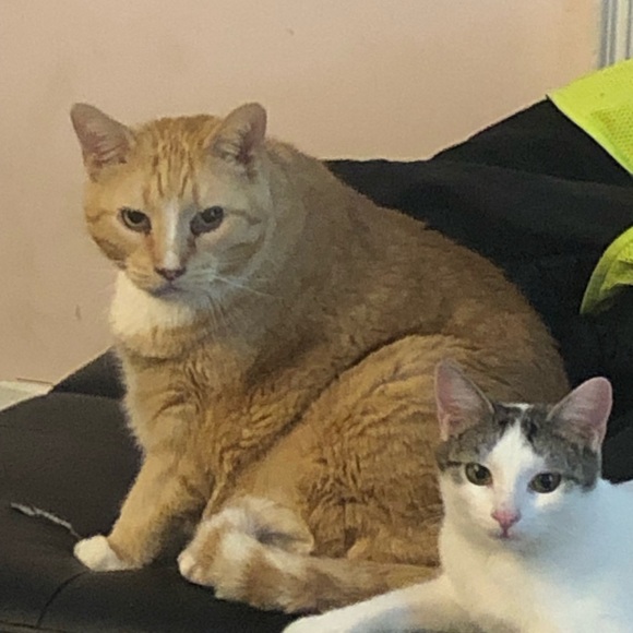 Meet your Posher, Mary - Picture 3 of 3